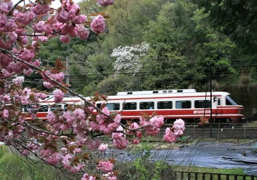 廃線の風景