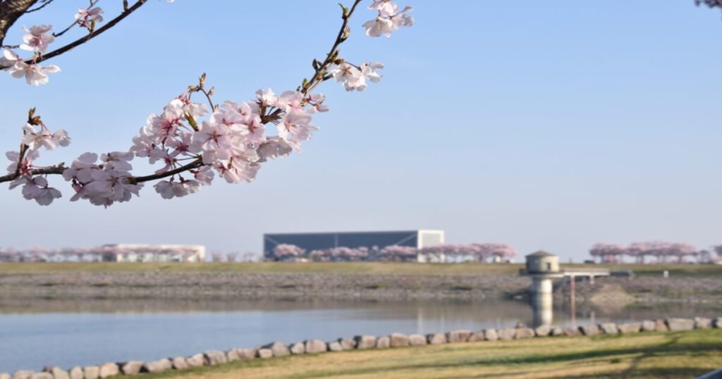 大阪狭山市　狭山池の風景
