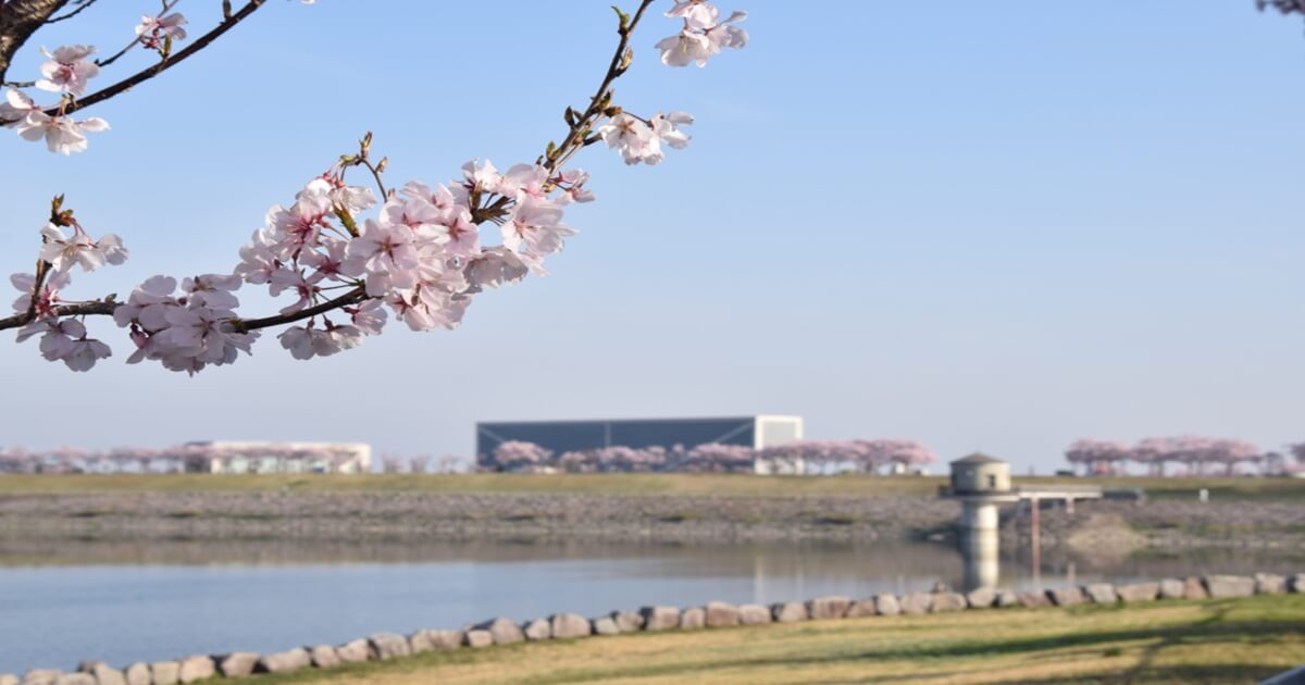 大阪狭山市 狭山池の風景