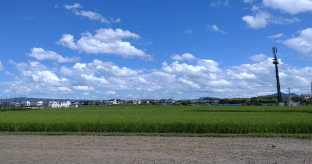 堺市美原区の風景