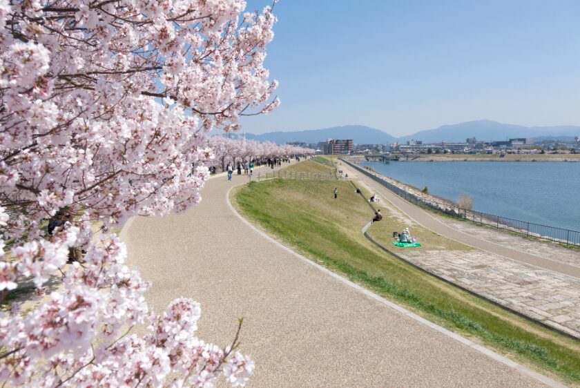 大阪狭山市狭山池周辺の風景