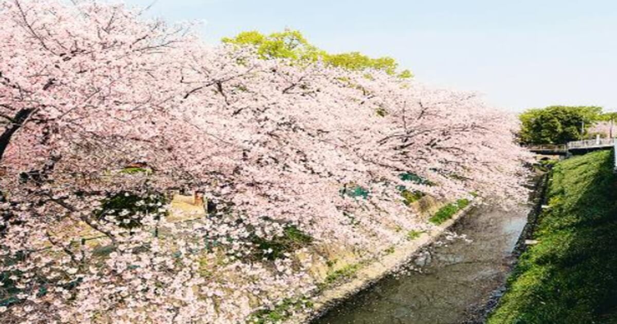 寝屋川市のイメージ